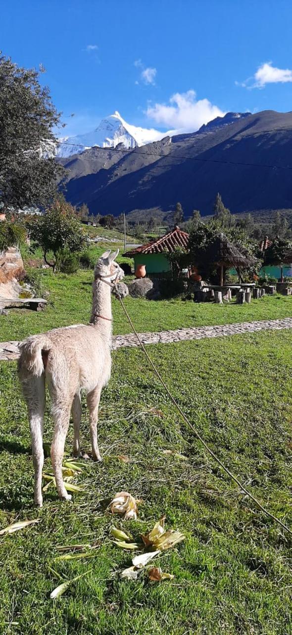 Tullpa Rumy Lodge Yungay Exterior foto